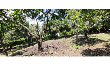 Venta de lote de 1940 M2 en 145 mill en La Mesa Cund