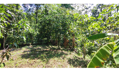 Venta de lote de 1940 M2 en 145 mill en La Mesa Cund