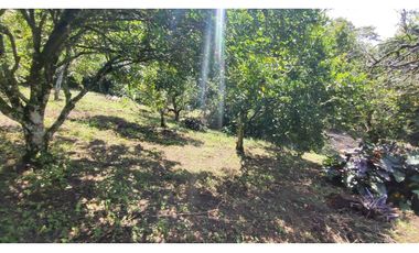 Venta de lote de 1940 M2 en 145 mill en La Mesa Cund