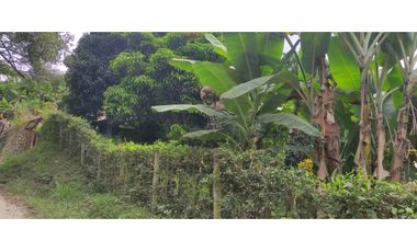 Se vende finca de 6400 M2 en 320 mil en La Mesa Cund, COL