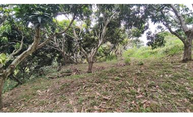 Se vende finca de 6400 M2 en 320 mil en La Mesa Cund, COL