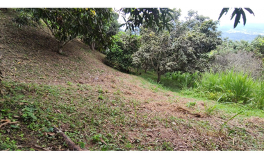 Se vende finca de 6400 M2 en 320 mil en La Mesa Cund, COL