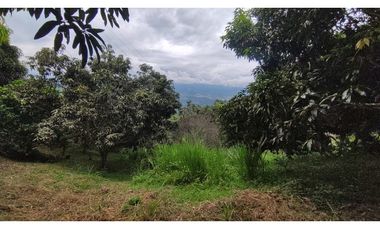 Se vende finca de 6400 M2 en 320 mil en La Mesa Cund, COL