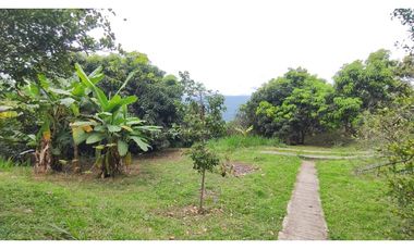 Se vende finca de 6400 M2 en 320 mil en La Mesa Cund, COL
