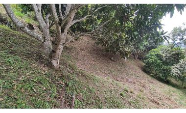 Se vende finca de 6400 M2 en 320 mil en La Mesa Cund, COL