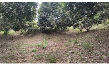 Se vende finca de 6400 M2 en 320 mil en La Mesa Cund, COL
