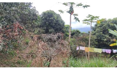 Se vende finca de 6400 M2 en 320 mil en La Mesa Cund, COL