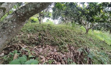 Se vende finca de 6400 M2 en 320 mil en La Mesa Cund, COL