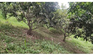 Se vende finca de 6400 M2 en 320 mil en La Mesa Cund, COL