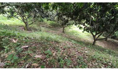 Se vende finca de 6400 M2 en 320 mil en La Mesa Cund, COL