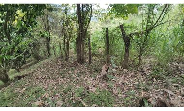 Se vende finca de 6400 M2 en 320 mil en La Mesa Cund, COL