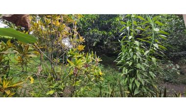 Se vende finca de 6400 M2 en 320 mil en La Mesa Cund, COL