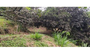 Se vende finca de 6400 M2 en 320 mil en La Mesa Cund, COL