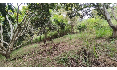 Se vende finca de 6400 M2 en 320 mil en La Mesa Cund, COL