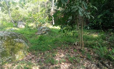 Se vende lote de 10879 M2 en 410 mill en La Mesa Cund, COL.