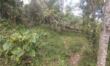 Se vende lote de 10879 M2 en 410 mill en La Mesa Cund, COL.