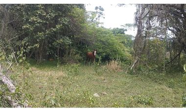 Se vende lote de 10879 M2 en 410 mill en La Mesa Cund, COL.