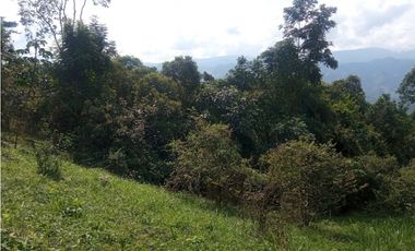 Se vende lote de 10879 M2 en 410 mill en La Mesa Cund, COL.