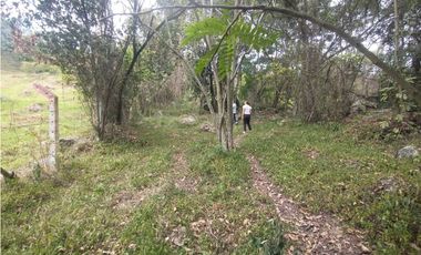 Se vende lote de 10879 M2 en 410 mill en La Mesa Cund, COL.