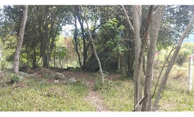 Se vende lote de 10879 M2 en 410 mill en La Mesa Cund, COL.