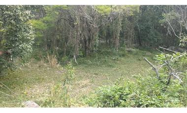 Se vende lote de 10879 M2 en 410 mill en La Mesa Cund, COL.