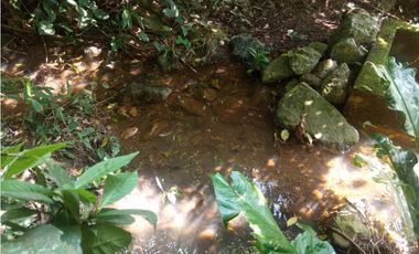 Se vende lote de 10879 M2 en 410 mill en La Mesa Cund, COL.