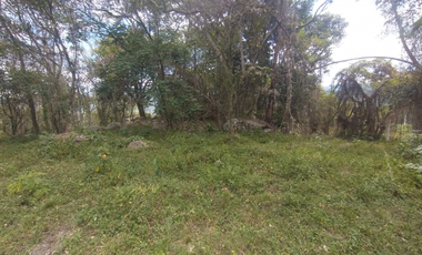 Se vende lote de 10879 M2 en 410 mill en La Mesa Cund, COL.