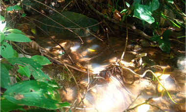 Se vende lote de 10879 M2 en 410 mill en La Mesa Cund, COL.