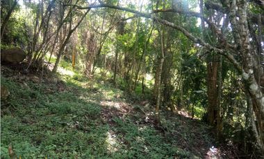 Se vende lote de 10879 M2 en 410 mill en La Mesa Cund, COL.