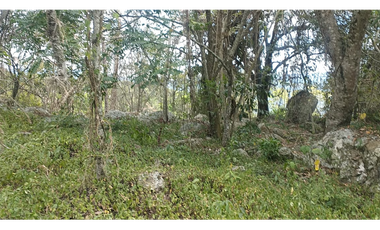 Se vende lote de 10879 M2 en 410 mill en La Mesa Cund, COL.