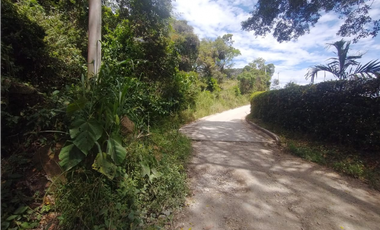 Se vende lote de 10879 M2 en 410 mill en La Mesa Cund, COL.