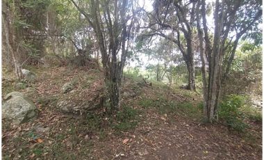 Se vende lote de 10879 M2 en 410 mill en La Mesa Cund, COL.