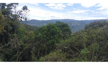 Se vende lote de 10879 M2 en 410 mill en La Mesa Cund, COL.