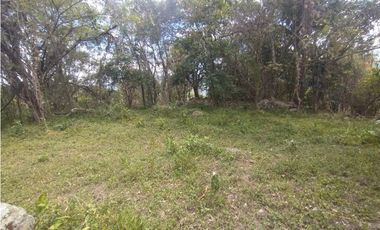 Se vende lote de 10879 M2 en 410 mill en La Mesa Cund, COL.