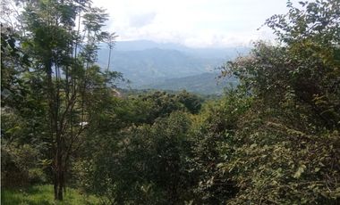 Se vende lote de 10879 M2 en 410 mill en La Mesa Cund, COL.