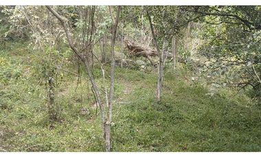 Se vende lote de 10879 M2 en 410 mill en La Mesa Cund, COL.