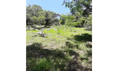 Se vende lote de 10879 M2 en 410 mill en La Mesa Cund, COL.