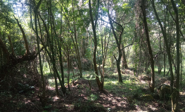 Se vende lote de 10879 M2 en 410 mill en La Mesa Cund, COL.