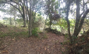 Se vende lote de 10879 M2 en 410 mill en La Mesa Cund, COL.