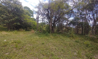 Se vende lote de 10879 M2 en 410 mill en La Mesa Cund, COL.