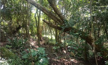 Se vende lote de 10879 M2 en 410 mill en La Mesa Cund, COL.