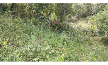 Se vende lote de 10879 M2 en 410 mill en La Mesa Cund, COL.