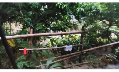 Venta casalote de 797 M2 en 220 mill en La Mesa Cund Colombia.