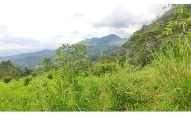 Venta de finca de 4.7 fanegadas en 550 mill en Tena Cund, COL