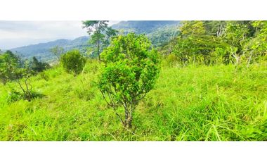 Venta de finca de 4.7 fanegadas en 550 mill en Tena Cund, COL