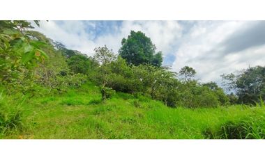 Venta de finca de 4.7 fanegadas en 550 mill en Tena Cund, COL