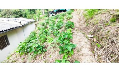 Venta de finca de 4.7 fanegadas en 550 mill en Tena Cund, COL