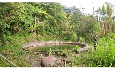 Venta de finca de 4.7 fanegadas en 550 mill en Tena Cund, COL