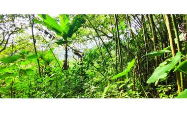 Venta de finca de 4.7 fanegadas en 550 mill en Tena Cund, COL