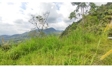 Venta de finca de 4.7 fanegadas en 550 mill en Tena Cund, COL